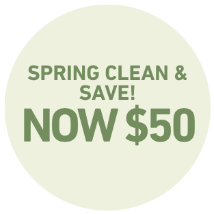 2400W Ceramic Steam Iron with Auto Shut-Off