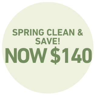 Cordless 360° Steam Iron